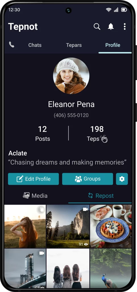 Introducing the Profile on Tepnot: Your Personal Hub